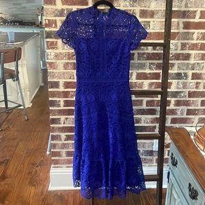Royal blue lace overlay fitted dress